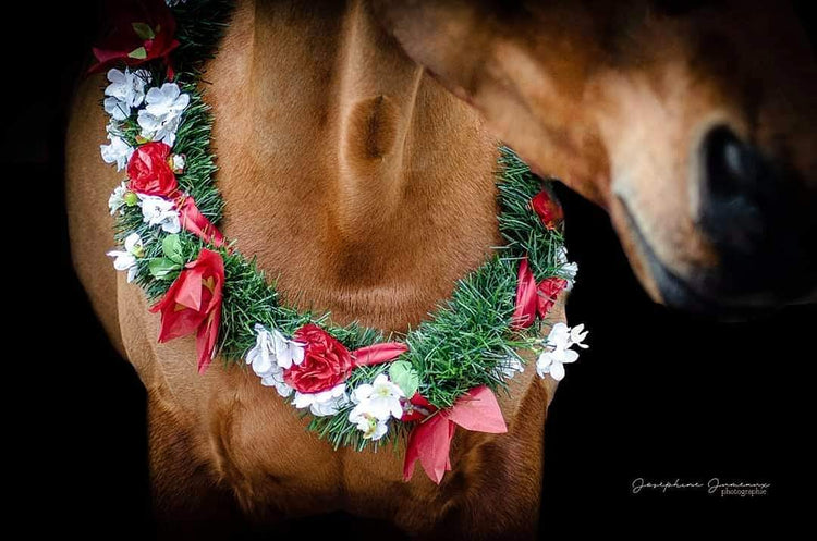 Noël Féerique