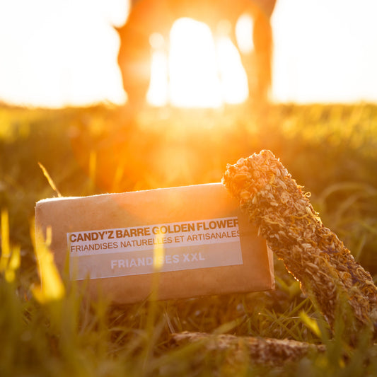 Candy'z Barre 💚 Friandises naturelles pour chevaux 🌿 Format XXL