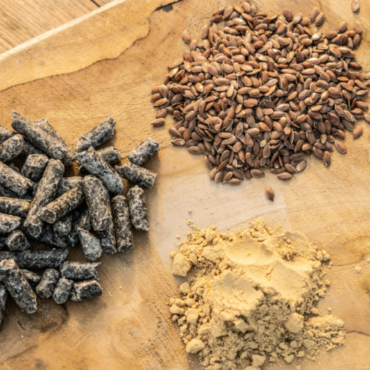 GrainFree Levure