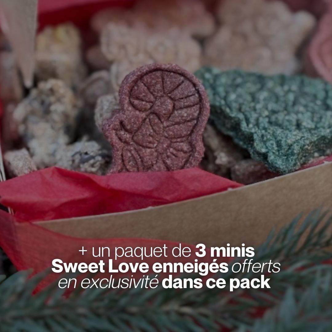 Pack Féerie de Noël ✨ Friandises naturelles pour chevaux 🧑🎄 Édition Spéciale Noël