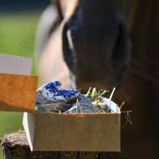 Candy'z Anniversaire 🎂 Friandises naturelles pour chevaux 🌿 Coffret personnalisé