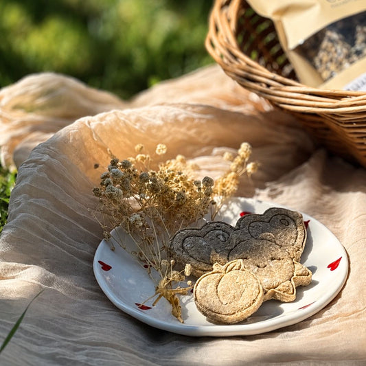 Candy'z Summer Mood ⛱ Friandises naturelles pour chevaux 💛 Recette estivale