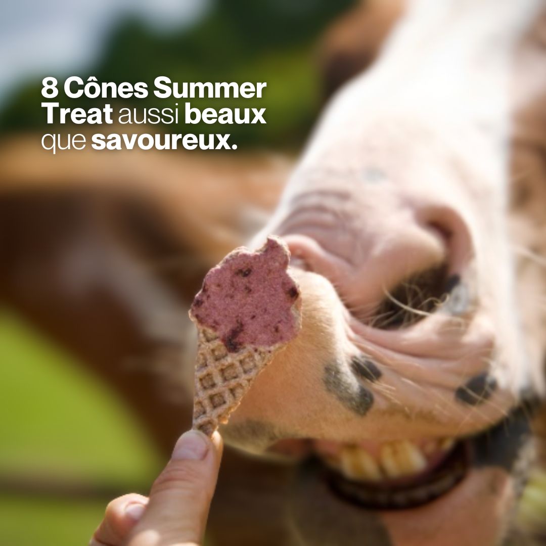 Candy'z Cônes Summer Treat 🍦Friandises naturelles 💛 Édition spéciale