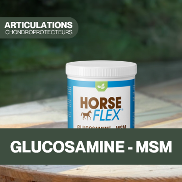 Glucosamine - MSM