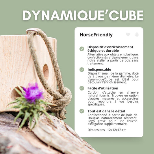 Dynamique'Cube