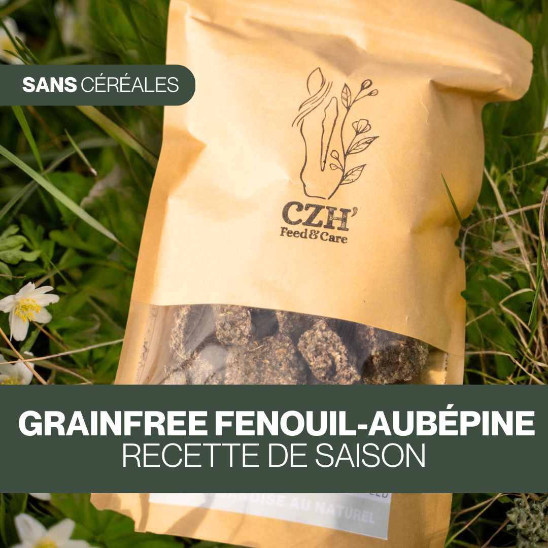 GrainFree Fenouil-AubĂ©pine | Printemps ON đż