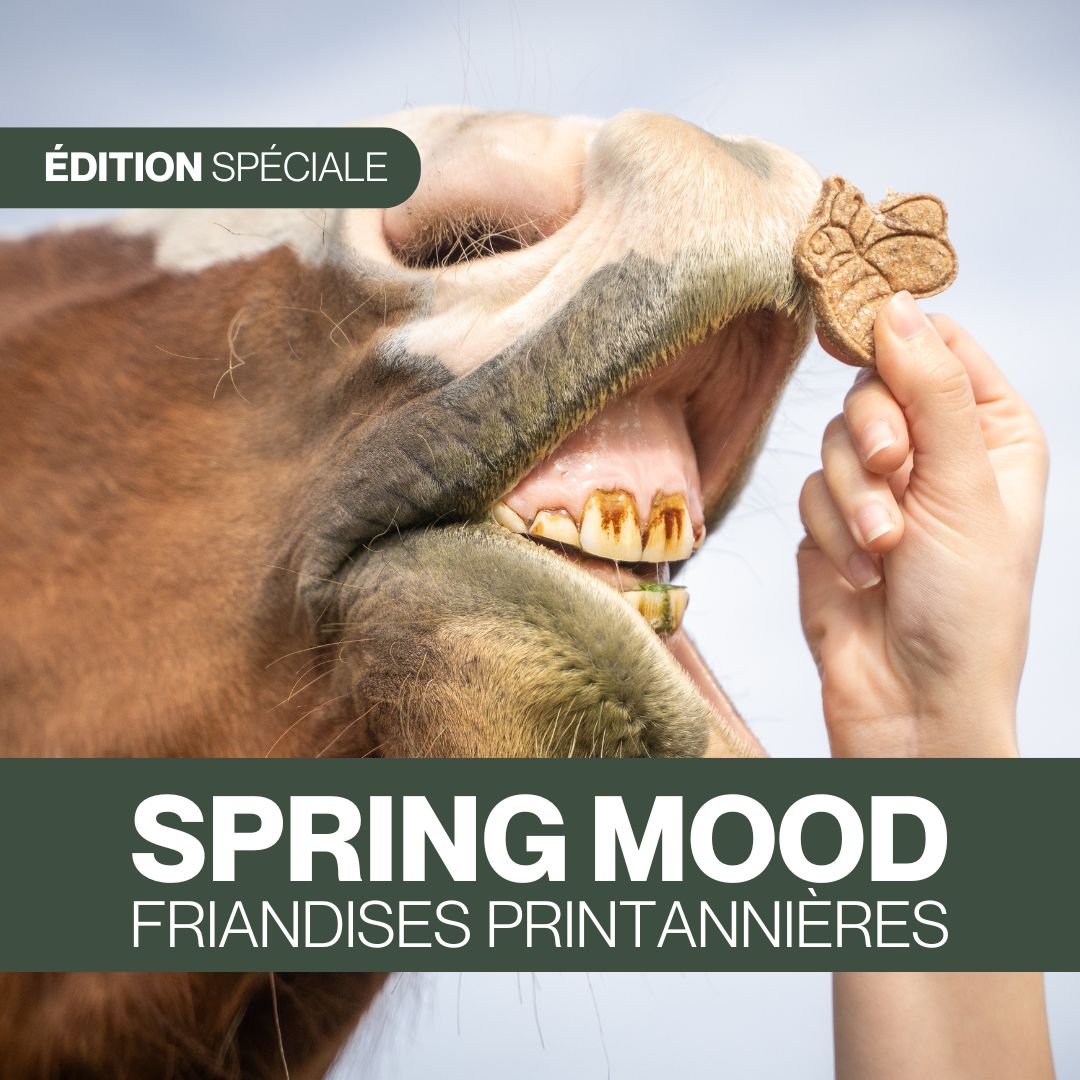 Candy'z Spring Mood đ»