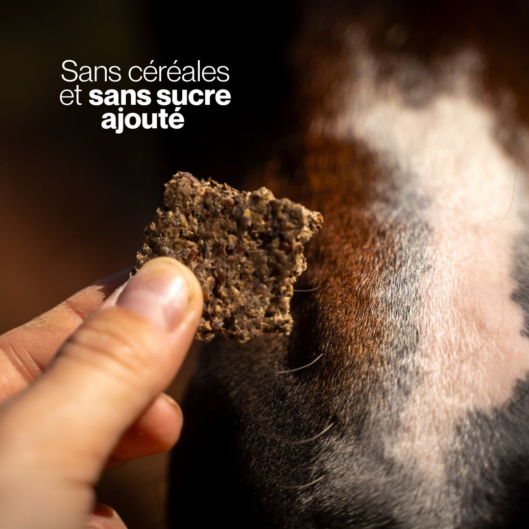 GrainFree Figue-Thym | Édition limitée 🌿