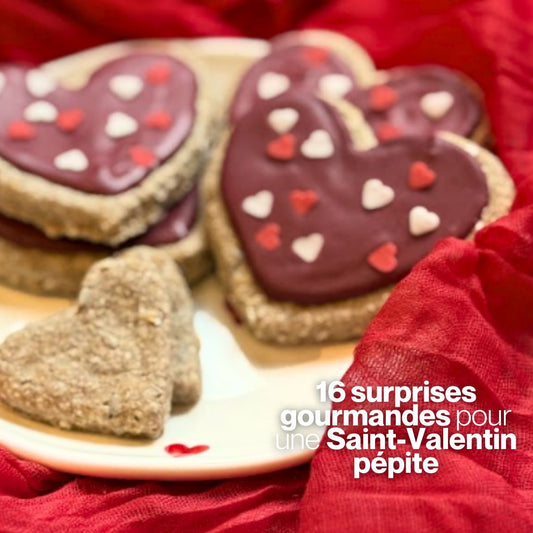 Coffret In Love 💓 Friandises naturelles pour chevaux 💌 Édition Spéciale Saint-Valentin