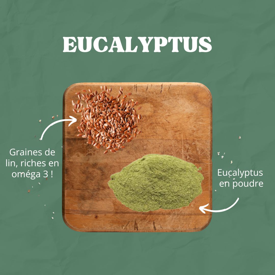 Candy'z Eucalyptus | Respiration 💨