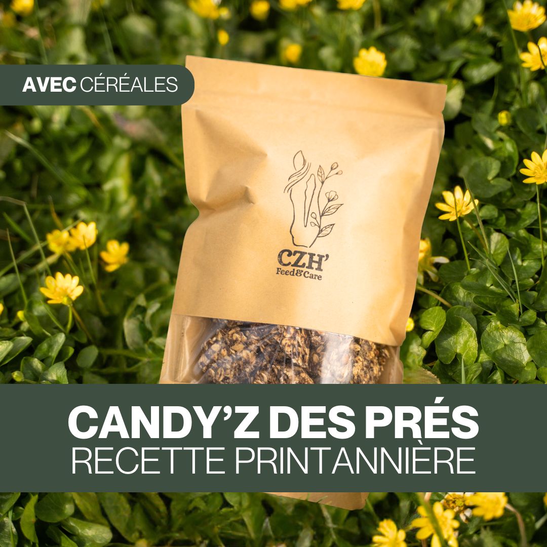 Candy'z Des Prés 🌼 Friandises naturelles pour chevaux 🌿 Recette printannière