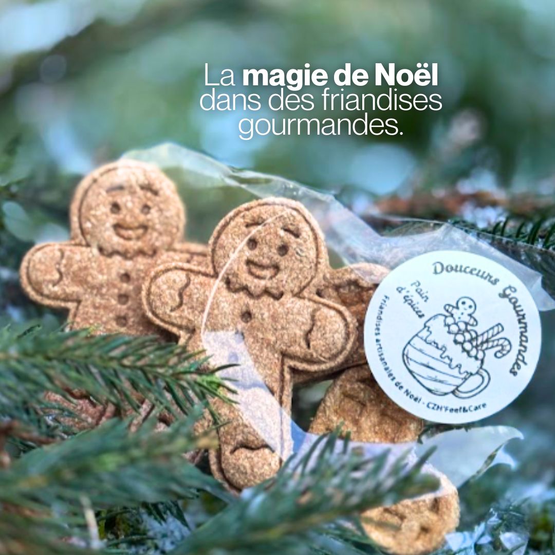 Douceurs Gourmandes au Pain d'Ăpices đ€ Friandises naturelles pour chevaux đ Ădition SpĂ©ciale NoĂ«l