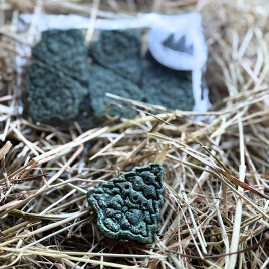 Douceurs Gourmandes du Roi des Forêts Spiruline-Figue 💚 Friandises naturelles pour chevaux 🎄 Édition Spéciale Noël