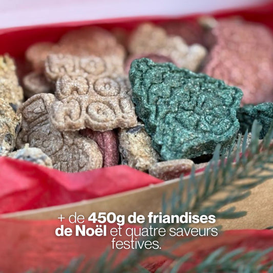 Coffret Magie de Noël 🎁 Friandises naturelles pour chevaux 🎄 Édition Spéciale Noël