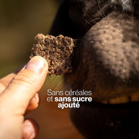 GrainFree Pomme-Cannelle 🍎 Friandises sans céréales pour chevaux 🎄 Édition Spéciale Noël