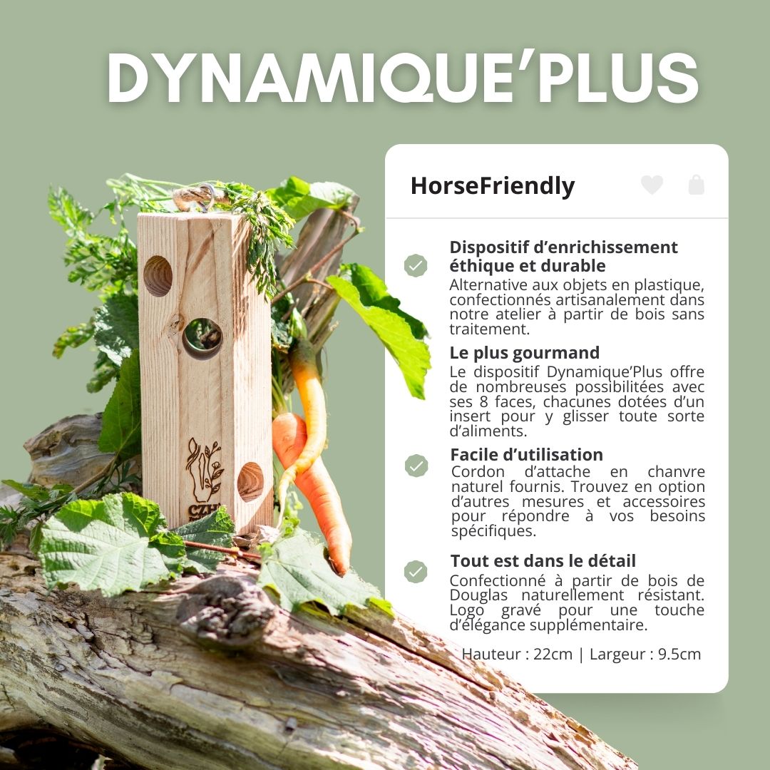 Dynamique'Plus