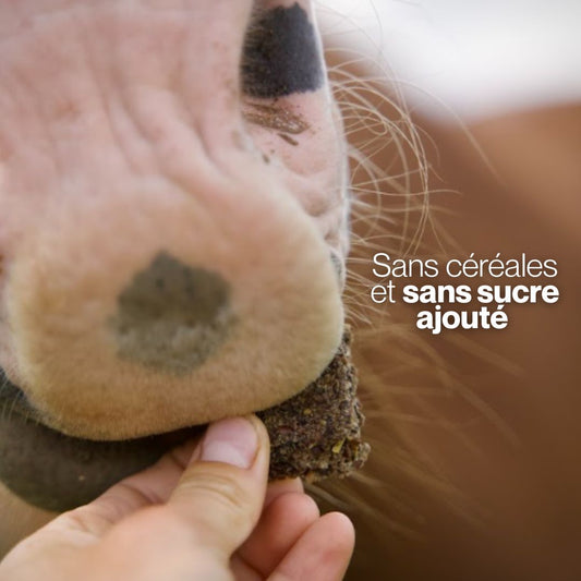 GrainFree Purple Peach 🧡 Friandises naturelles pour chevaux ✨ Édition limitée