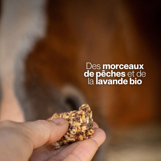 Candy'z Purple Peach 🧡 Friandises naturelles pour chevaux ✨ Édition limitée