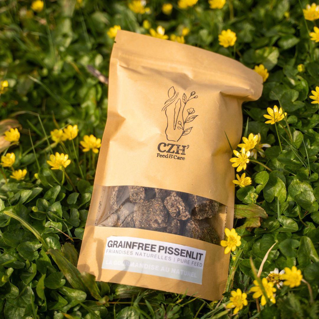 GrainFree Pissenlit | Printemps ON 🌿