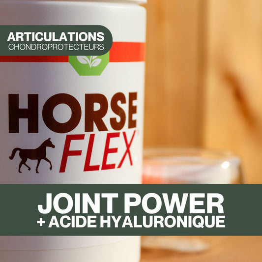 Joint Power + Acide Hyaluronique