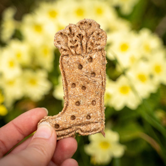 Candy'z Spring Mood 🌻 Friandises naturelles pour chevaux 🌿 Recette printannière