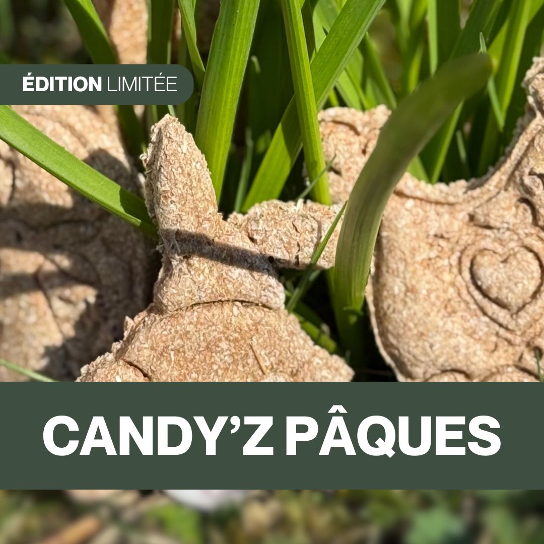 Candy'z PĂąques đ°