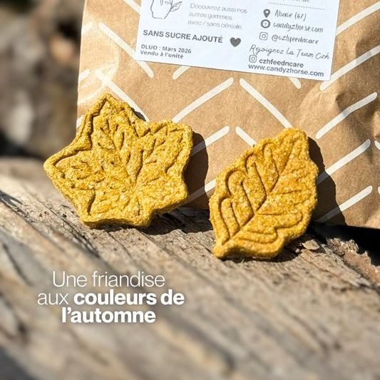 Candy'z Golden Leaf | Nouveauté 🍂