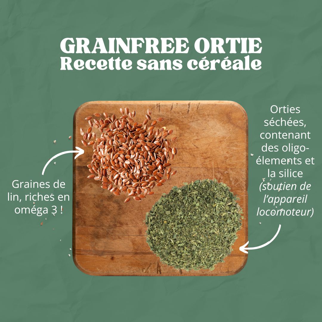 GrainFree Ortie | Locomotion et Tonus ⚡