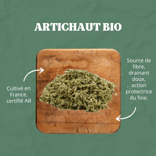 Artichaut BIO | Plante pure
