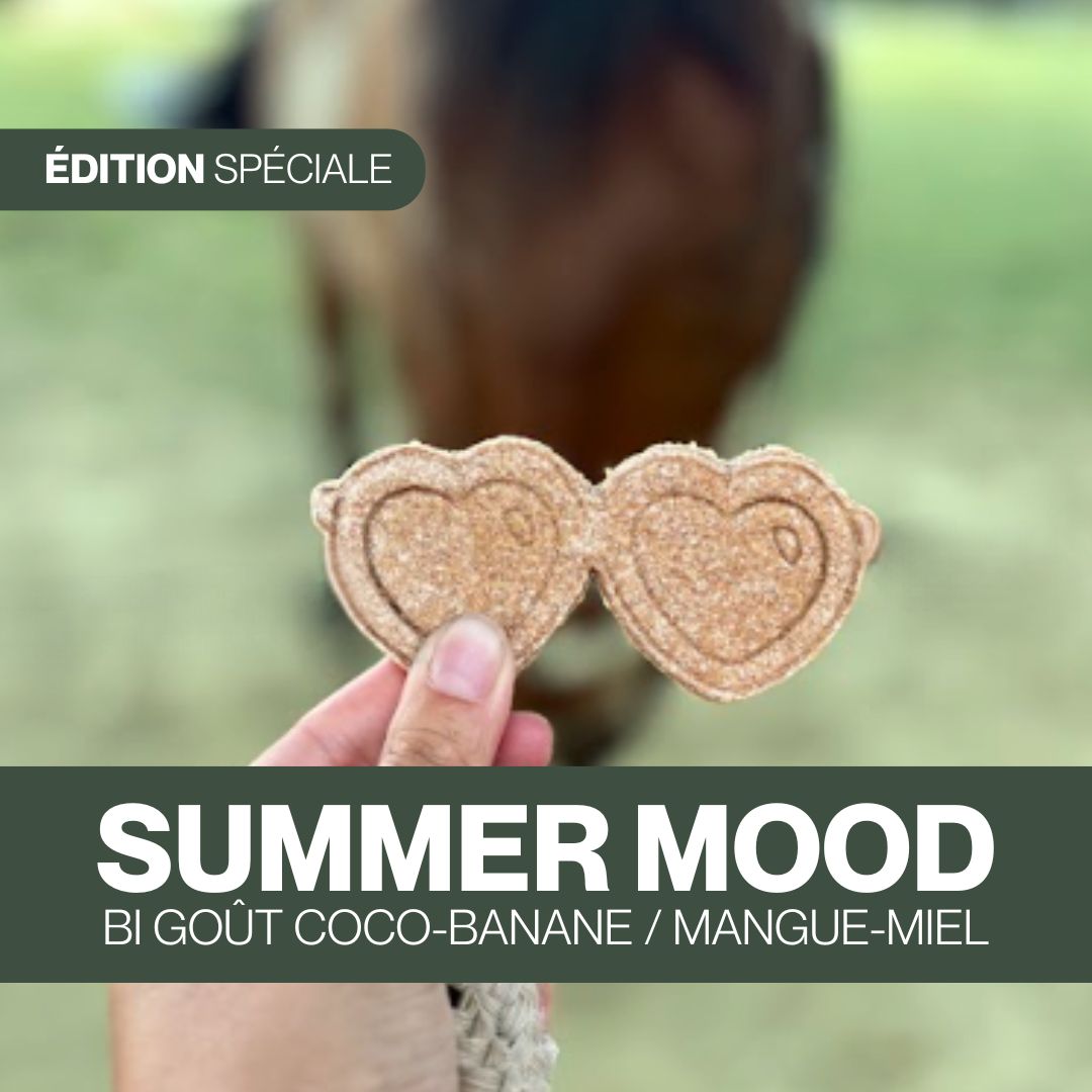 Candy'z Summer Mood đŠ©