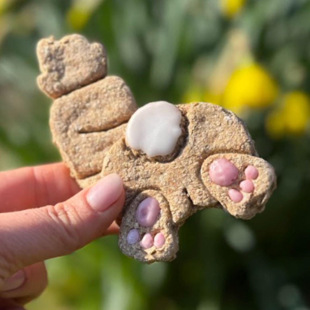 Candy'z Pâques 🐰 Friandises naturelles pour chevaux 🌿 Édition Spéciale