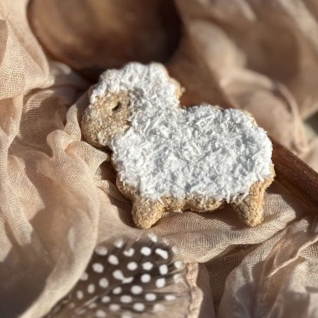 Duo de Candy'z Mout-Mout 🐑 Friandises naturelles pour chevaux 🌿 Édition Spéciale