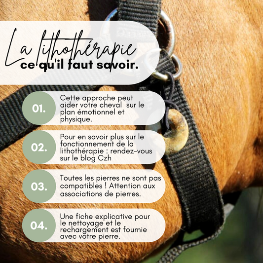 Pierres de lithothérapie | Cheval