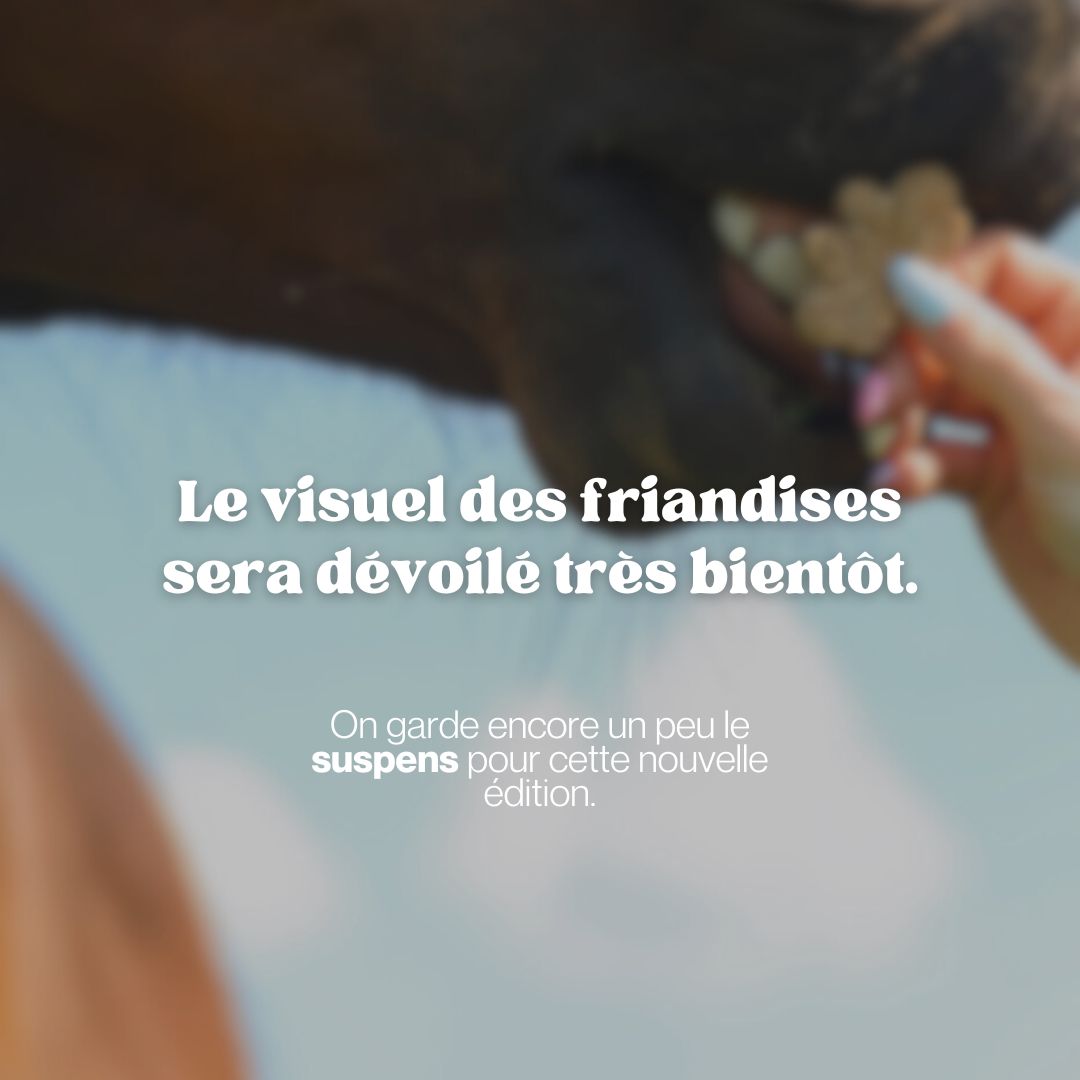 Été 💛