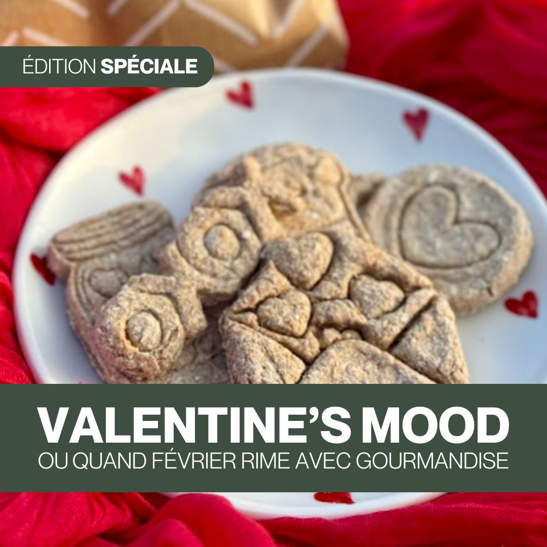 Candy'z Valentine's Mood 💕 Friandises naturelles pour chevaux 💌 Édition Spéciale Saint-Valentin