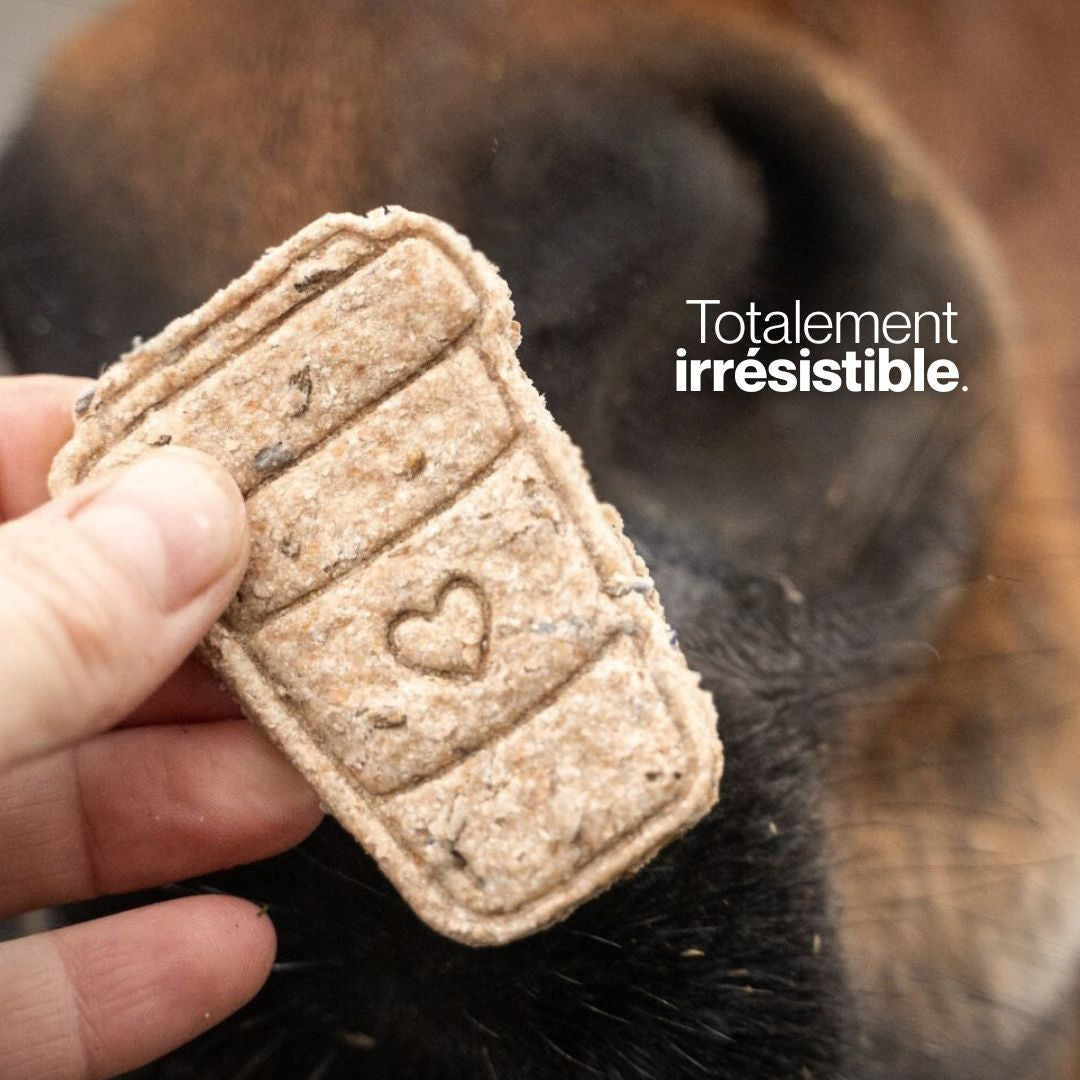 Candy'z Valentine's Mood 💕 Friandises naturelles pour chevaux 💌 Édition Spéciale Saint-Valentin