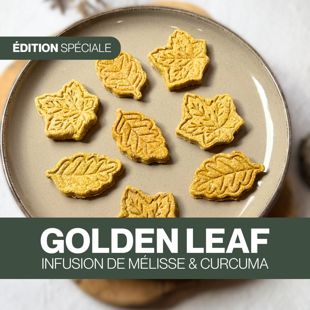 Candy'z Golden Leaf | Nouveauté 🍂