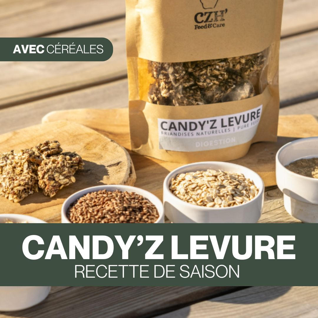 Candy'z Levure | Digestion et vitalité 🍃