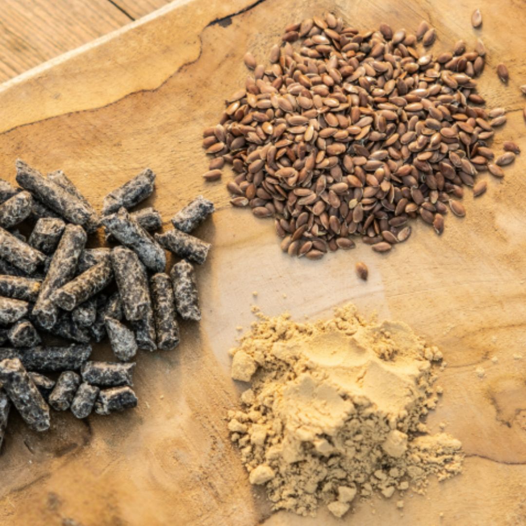 GrainFree Levure | Digestion et vitalité🍃