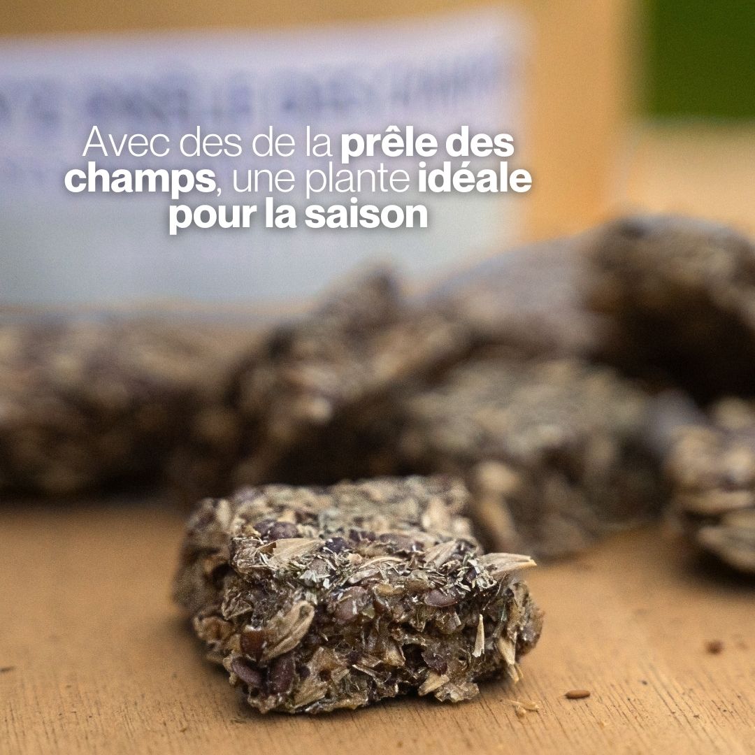 Candy'z Prêle | Mobilité 🐎