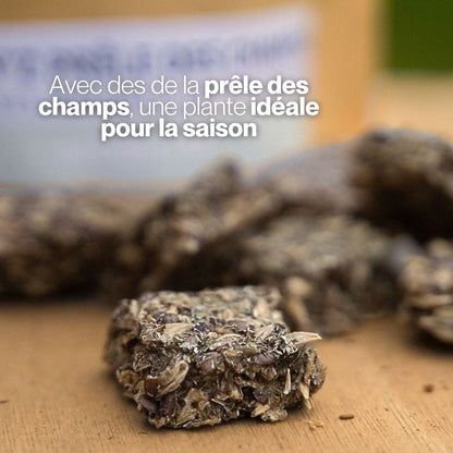 Candy'z Prêle | Mobilité 🐎