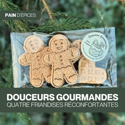 Douceurs Gourmandes au Pain d'Épices 🤎 Friandises naturelles pour chevaux 🎄 Édition Spéciale Noël