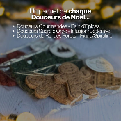Pack Féerie de Noël ✨ Friandises naturelles pour chevaux 🧑‍🎄 Édition Spéciale Noël