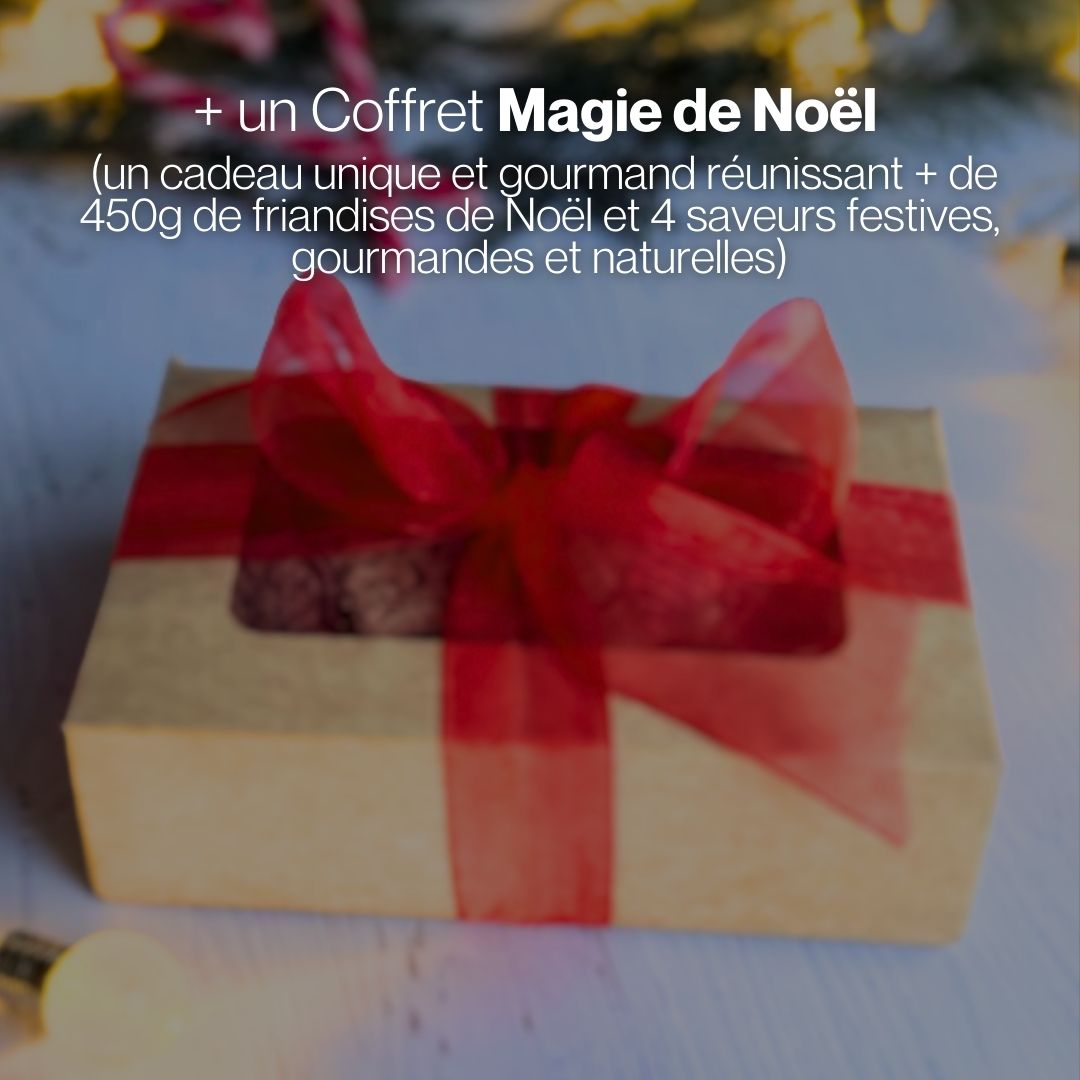 Pack Féerie de Noël ✨ Friandises naturelles pour chevaux 🧑‍🎄 Édition Spéciale Noël