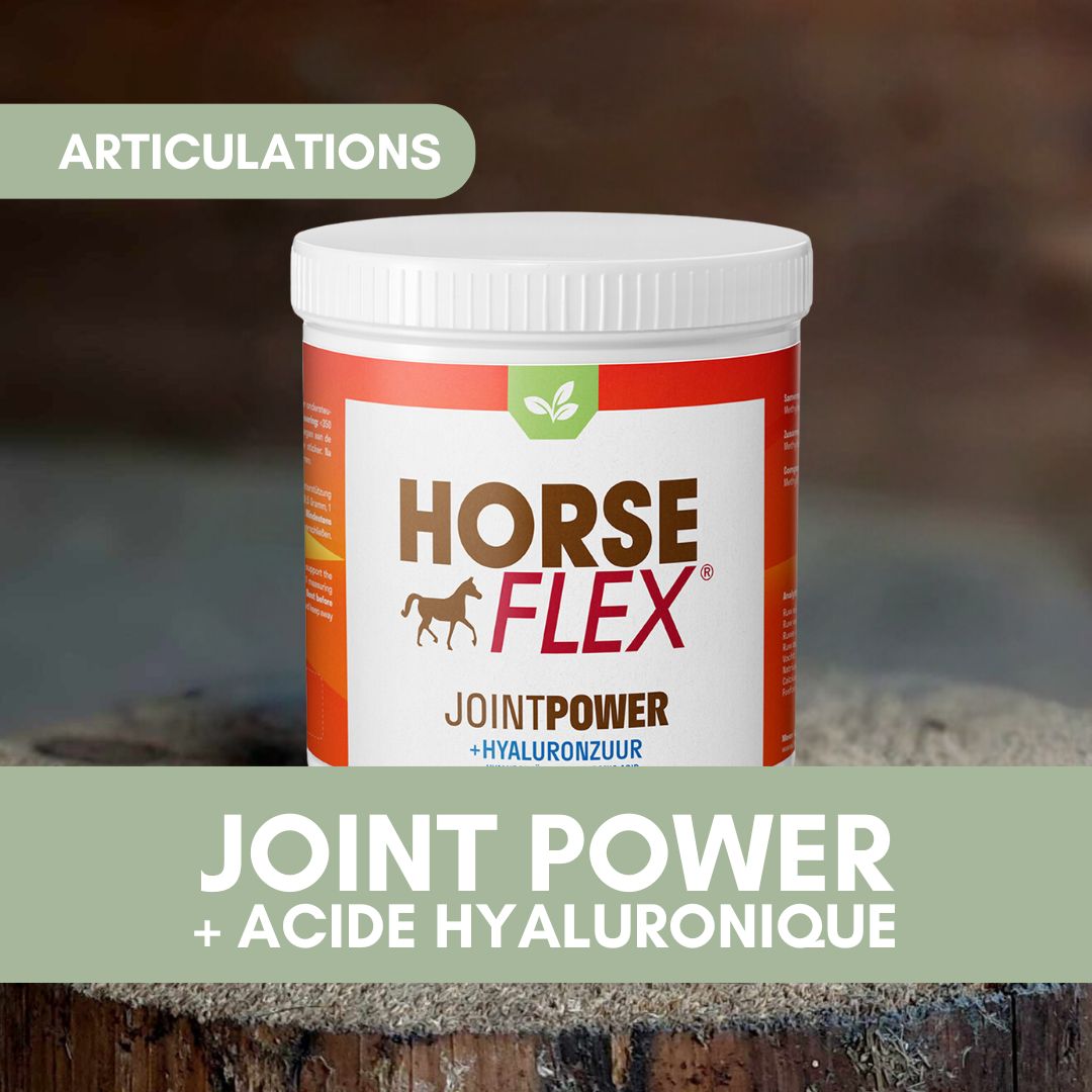 Joint Power + Acide Hyaluronique