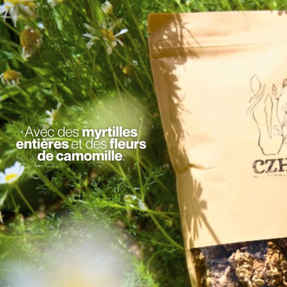 Candy'z Berry Bloom 🌼  Friandises naturelles pour chevaux 💛 Recette estivale
