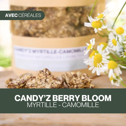 Candy'z Berry Bloom 🌼  Friandises naturelles pour chevaux 💛 Recette estivale
