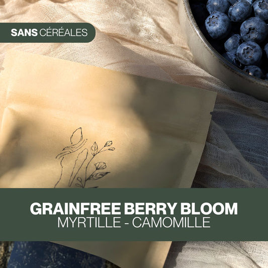 GrainFree Berry Bloom 🌼 Friandises naturelles pour chevaux 💛 Recette estivale
