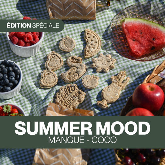 Candy'z Summer Mood ⛱ Friandises naturelles pour chevaux  💛 Recette estivale