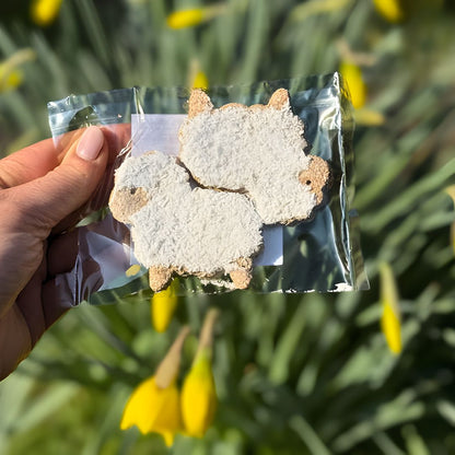 Duo de Candy'z Mout-Mout 🐑 Friandises naturelles pour chevaux  🌿 Édition Spéciale